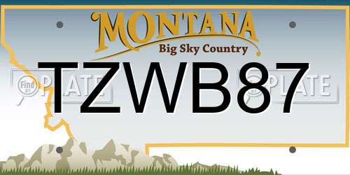 TZWB87 Montana License Plate