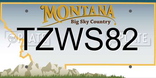 TZWS82 Montana License Plate