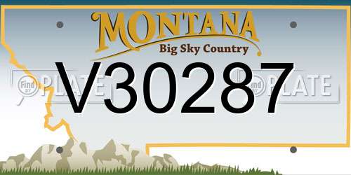 V30287 Montana License Plate