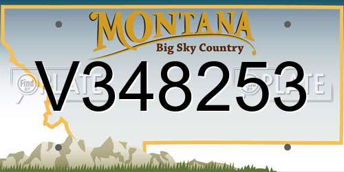 V348253 Montana License Plate