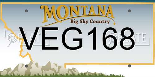 VEG168 Montana License Plate