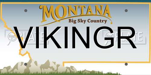 VIKINGR Montana License Plate