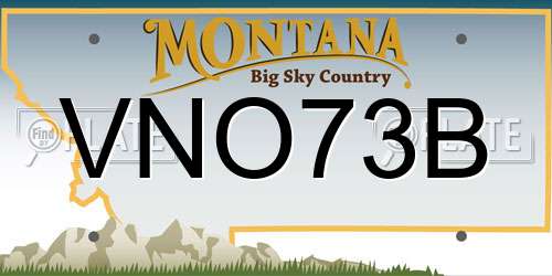 VNO73B Montana License Plate