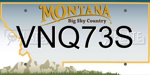 VNQ73S Montana License Plate