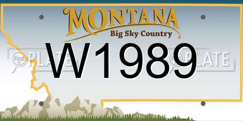 W1989 Montana License Plate