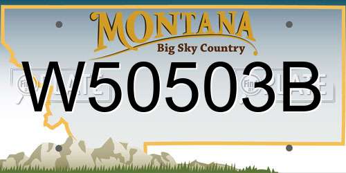 W50503B Montana License Plate