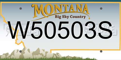 W50503S Montana License Plate