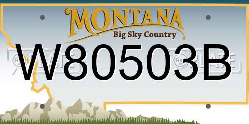 W80503B Montana License Plate