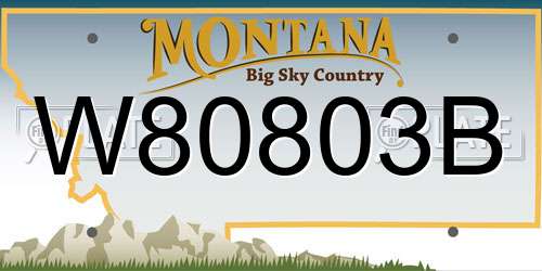 W80803B Montana License Plate
