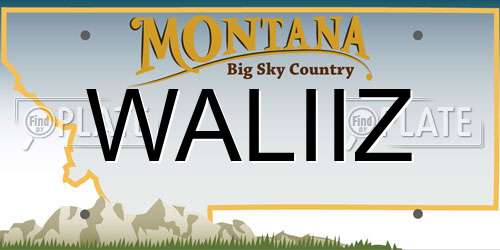 WALIIZ Montana License Plate