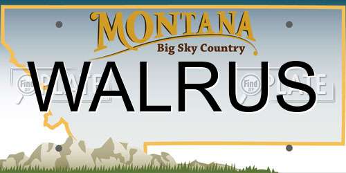 WALRUS Montana License Plate