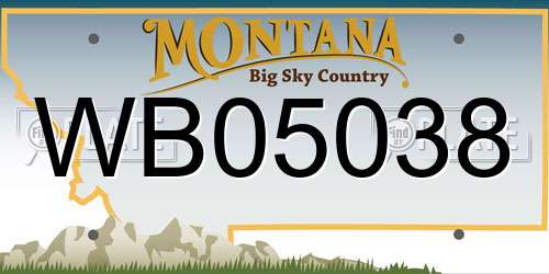 WB05038 Montana License Plate