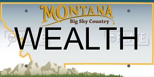 WEALTH Montana License Plate