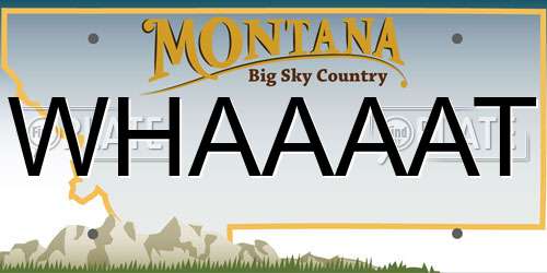 WHAAAAT Montana License Plate