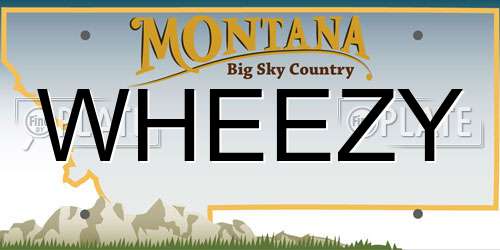 WHEEZY Montana License Plate