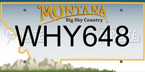 WHY648 Montana License Plate