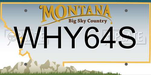 WHY64S Montana License Plate