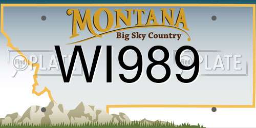 WI989 Montana License Plate