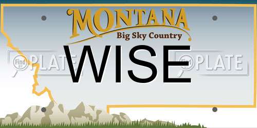 WISE Montana License Plate