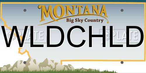 WLDCHLD Montana License Plate