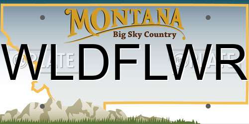 WLDFLWR Montana License Plate