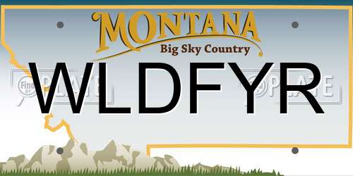 WLDFYR Montana License Plate