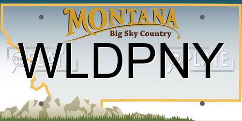 WLDPNY Montana License Plate