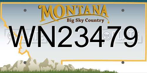 WN23479 Montana License Plate