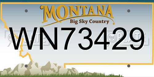 WN73429 Montana License Plate