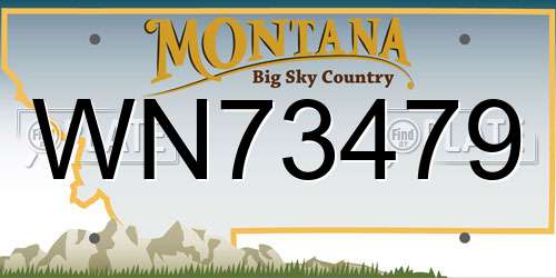 WN73479 Montana License Plate
