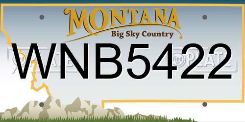 WNB5422 Montana License Plate