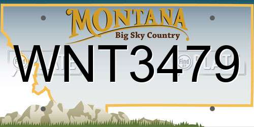 WNT3479 Montana License Plate