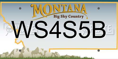 WS4S5B Montana License Plate