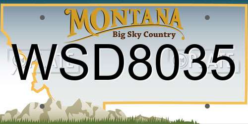 WSD8035 Montana License Plate