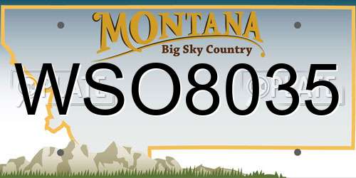WSO8035 Montana License Plate
