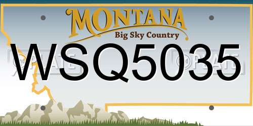 WSQ5035 Montana License Plate