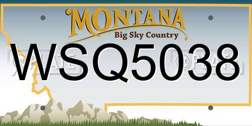 WSQ5038 Montana License Plate