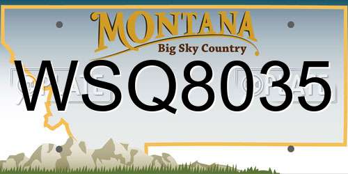WSQ8035 Montana License Plate