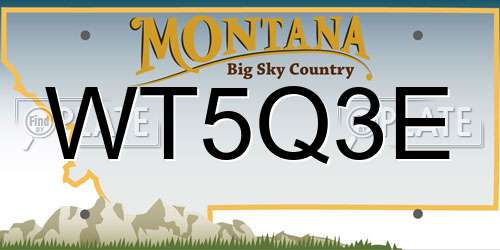 WT5Q3E Montana License Plate