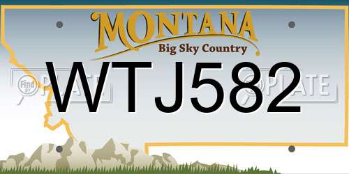 WTJ582 Montana License Plate