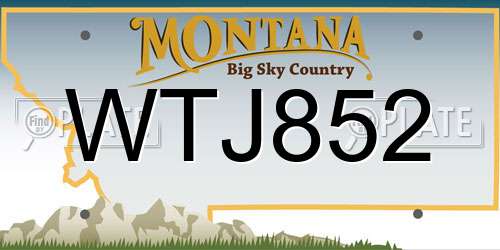 WTJ852 Montana License Plate
