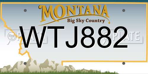 WTJ882 Montana License Plate
