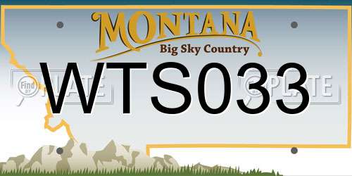 WTS033 Montana License Plate