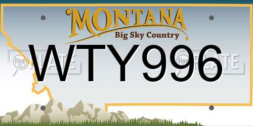 WTY996 Montana License Plate