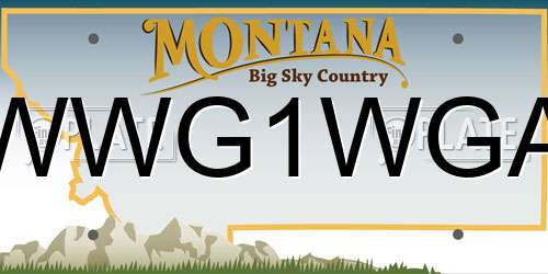 WWG1WGA Montana License Plate