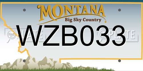 WZB033 Montana License Plate