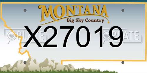 X27019 Montana License Plate