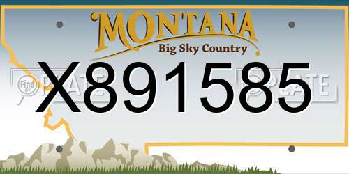 X891585 Montana License Plate