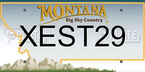 XEST29 Montana License Plate