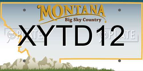 XYTD12 Montana License Plate